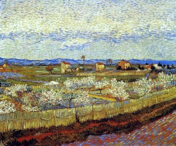 Vincent Van Gogh Painting - Peach Trees in Blossom Vincent van Gogh